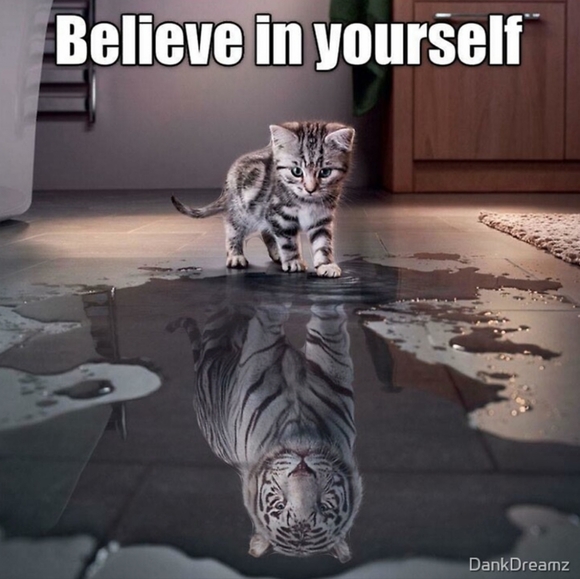 SOLD LISTING AGAIN 🥳 I AM LIVE! 🥳LIKE THIS POST TO BE NOTIFIED when I go live! - Picture 4 of 8